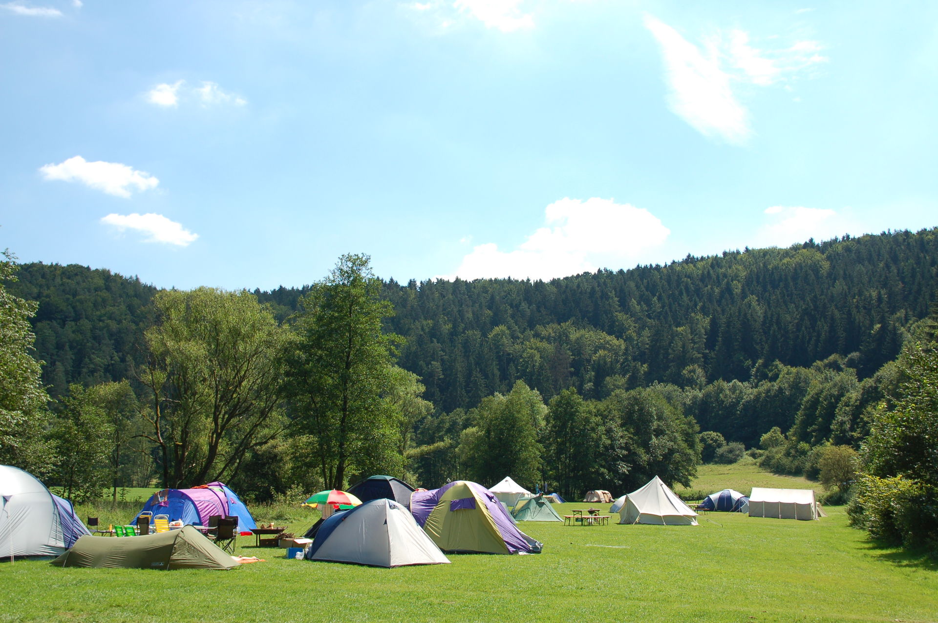 Zeltwiese mit Blickrichtung Wald
